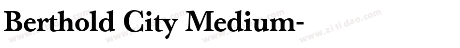 Berthold City Medium字体转换